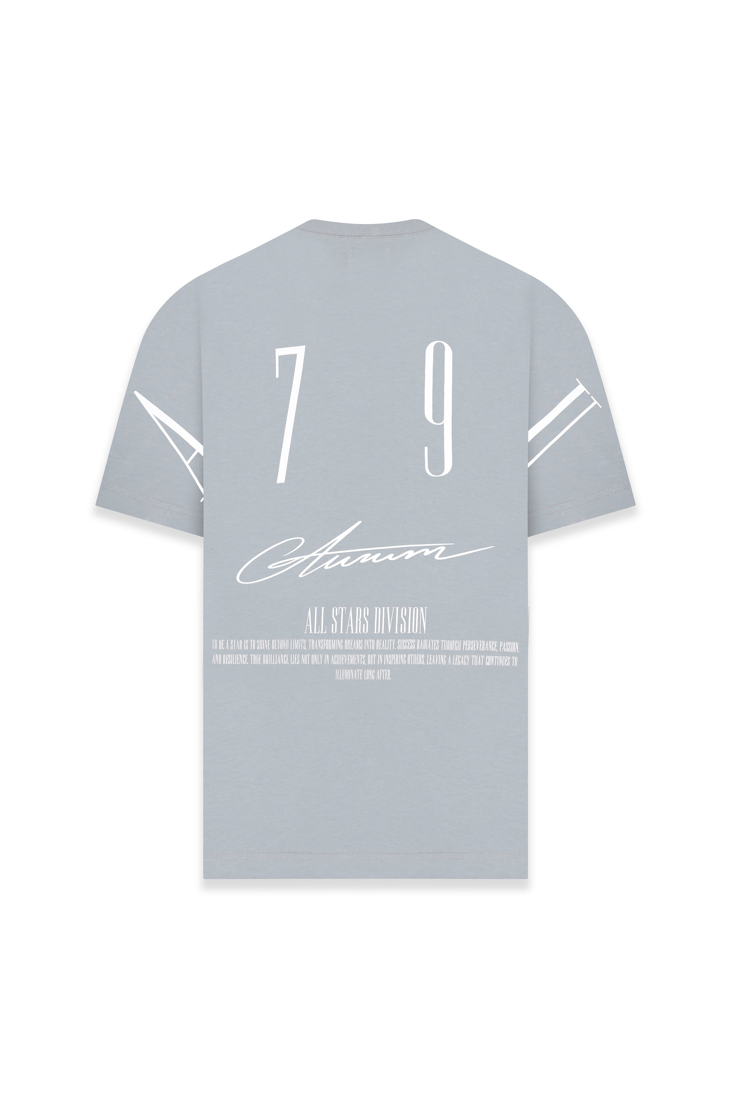 GREY STARDUST T-SHIRT