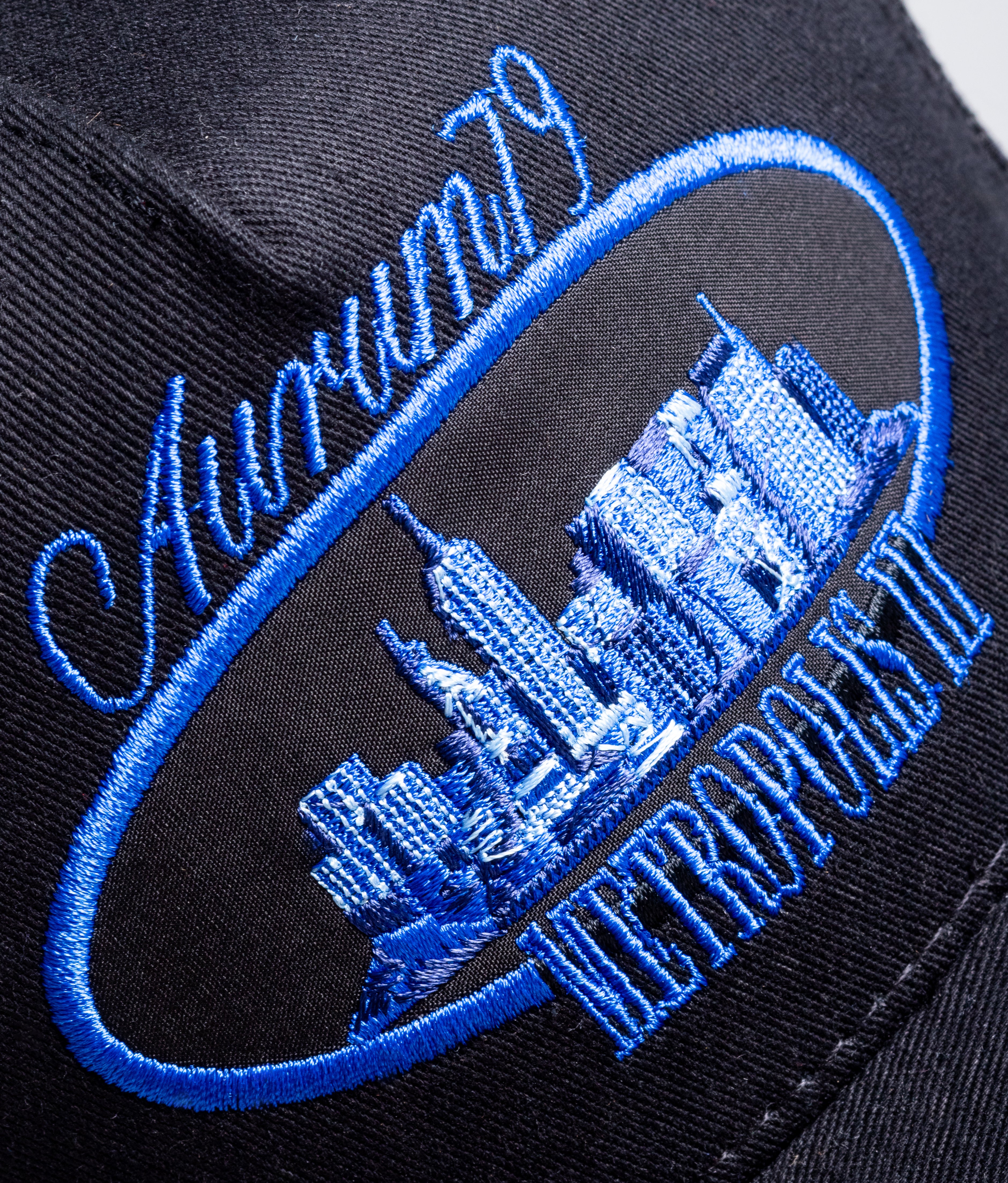 Blue Metro Cap
