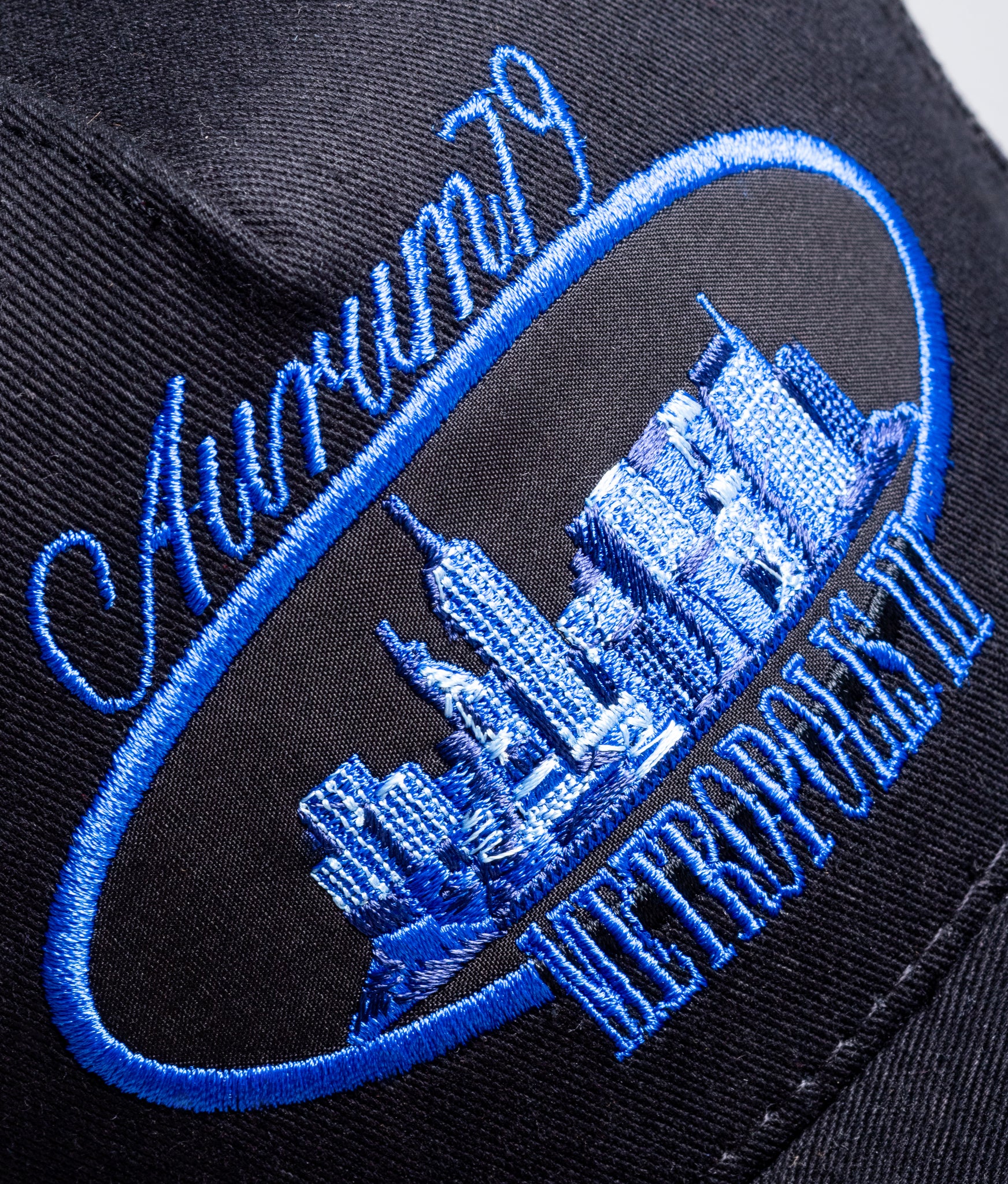 Blue Metro Cap