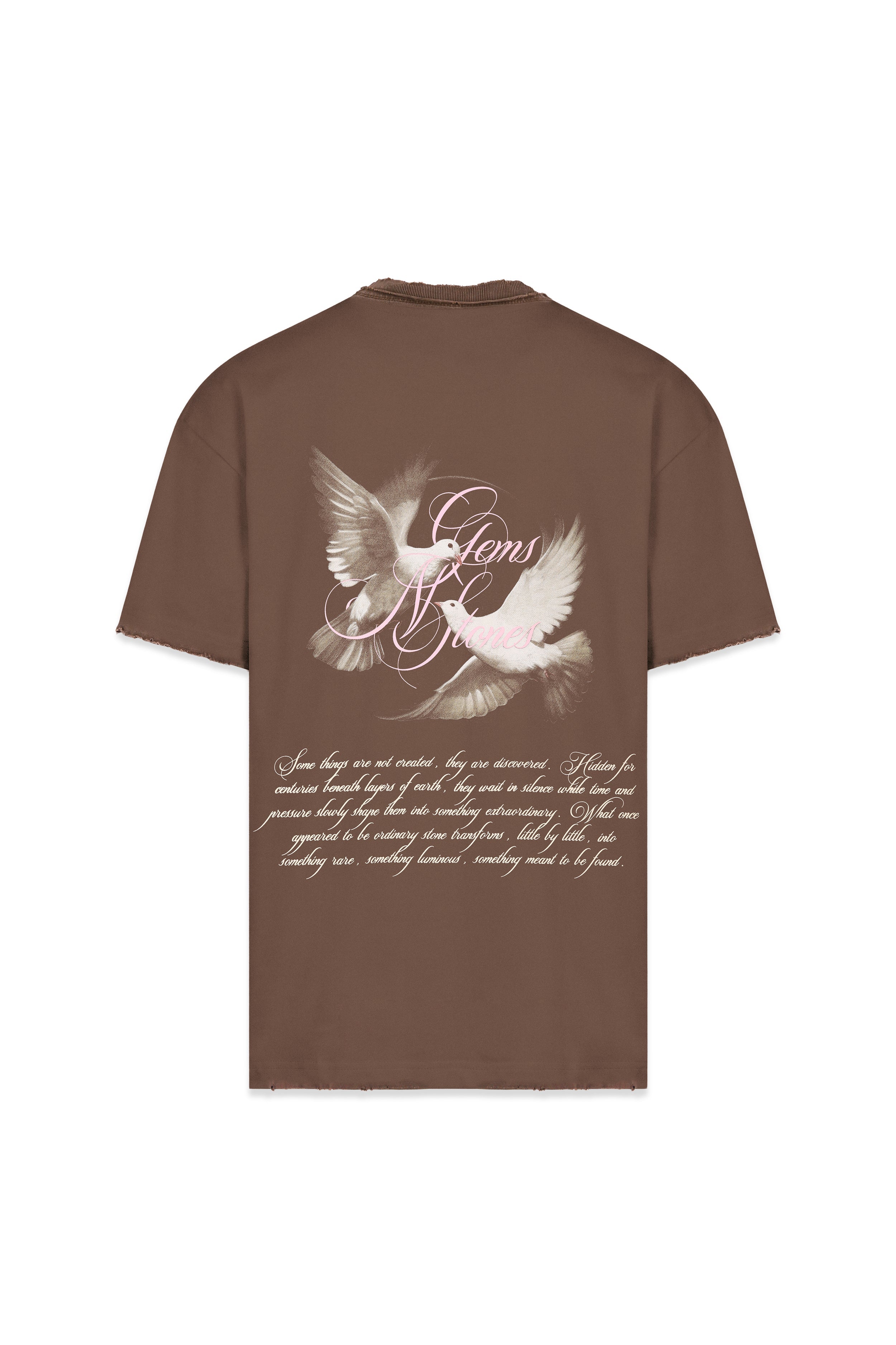 Gems Pigeons Oversized T-Shirt Café — AURUM 79
