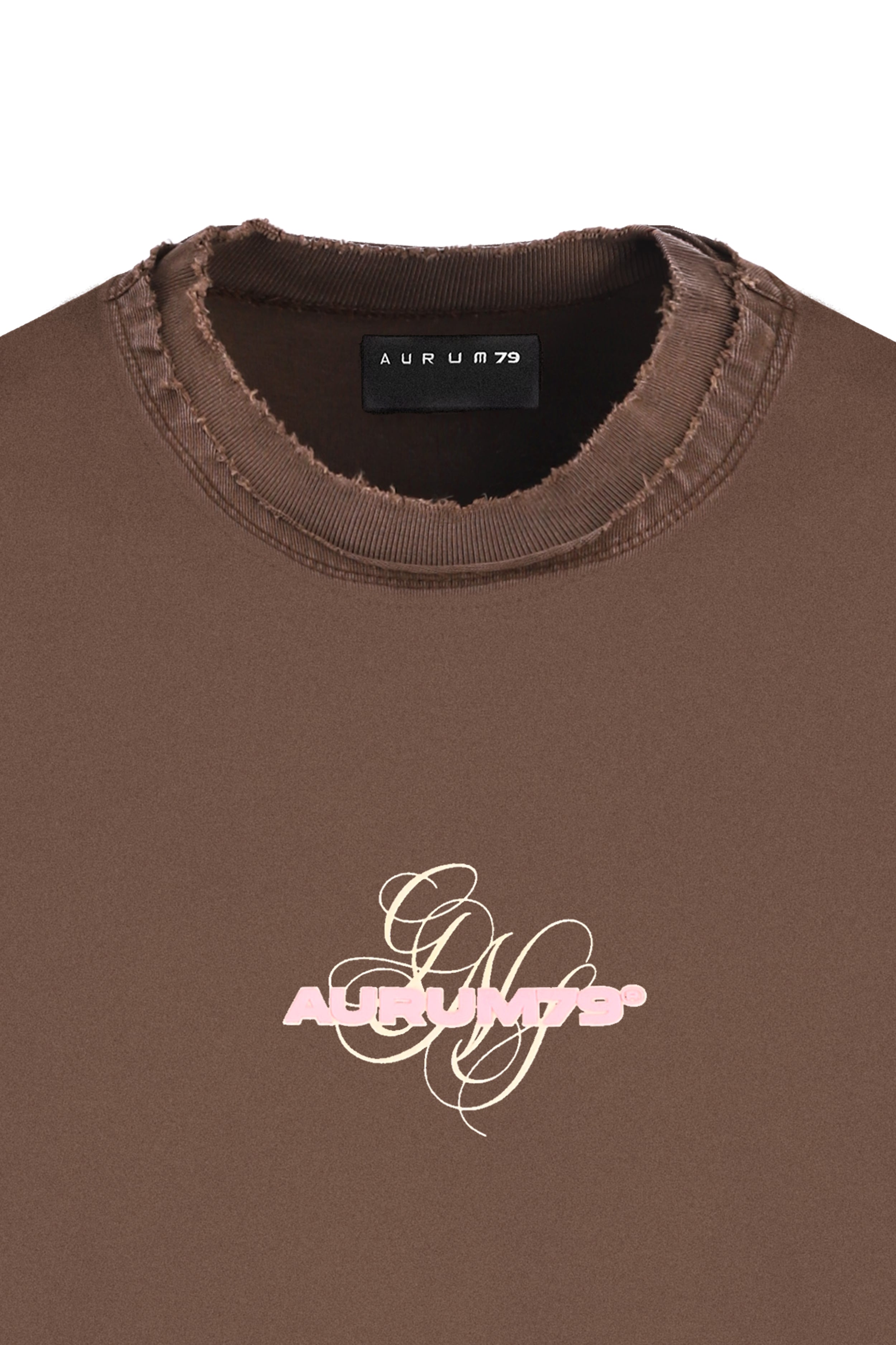 Gems Pigeons Oversized T-Shirt Café — AURUM 79